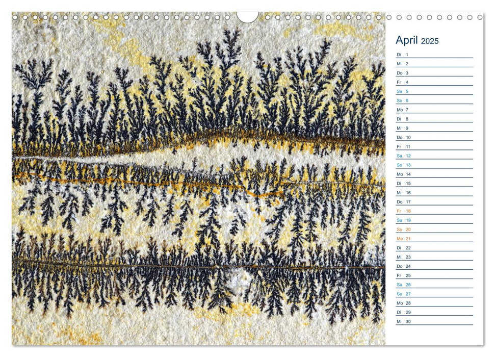 Märchenwelten aus Stein - Manganoxid-Dendriten aus Solnhofen (CALVENDO Wandkalender 2025)