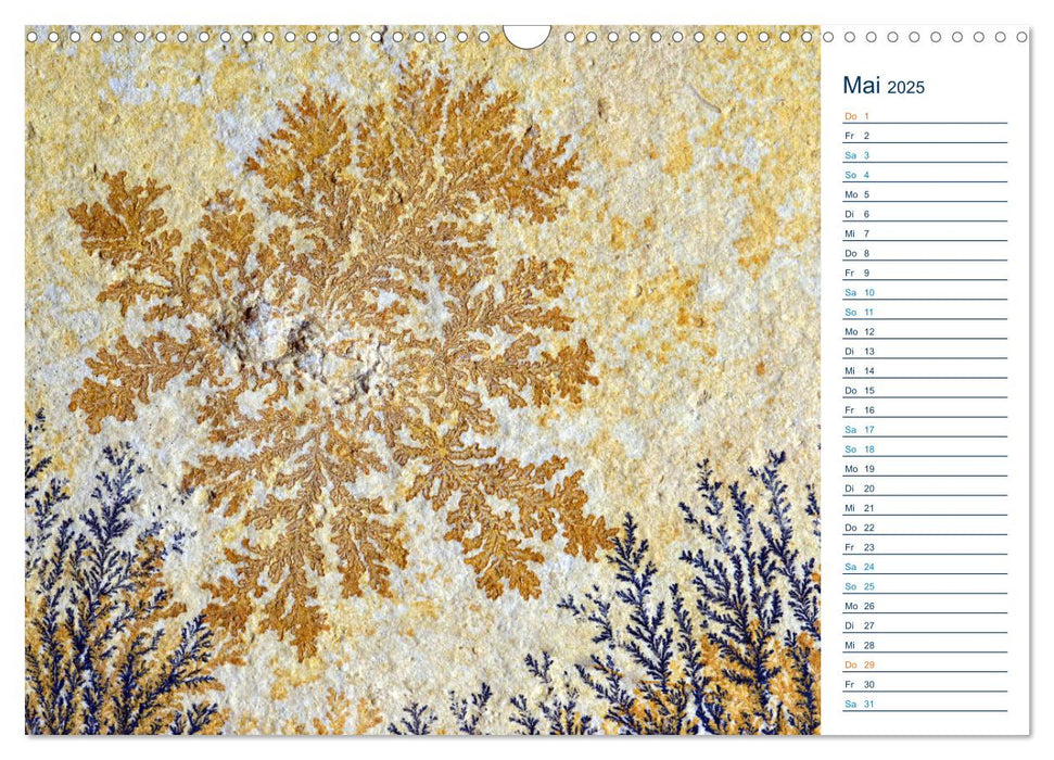 Märchenwelten aus Stein - Manganoxid-Dendriten aus Solnhofen (CALVENDO Wandkalender 2025)