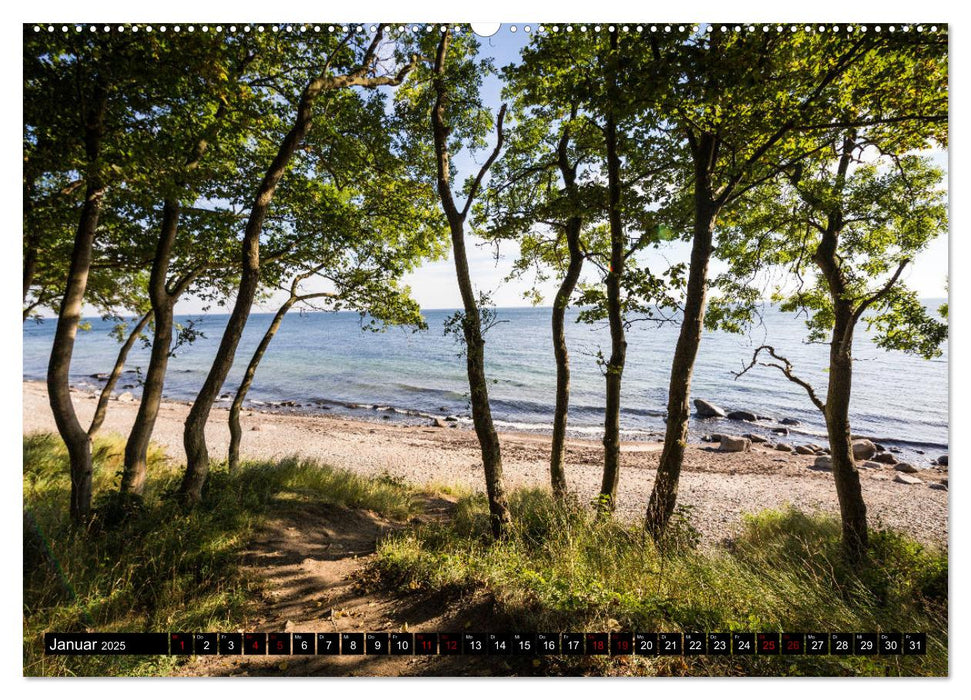 Insel Fehmarn - Impressionen eines Sommertages an der Ostsee (CALVENDO Wandkalender 2025)