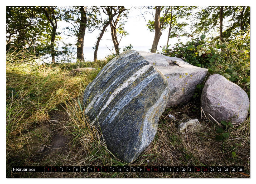 Insel Fehmarn - Impressionen eines Sommertages an der Ostsee (CALVENDO Wandkalender 2025)