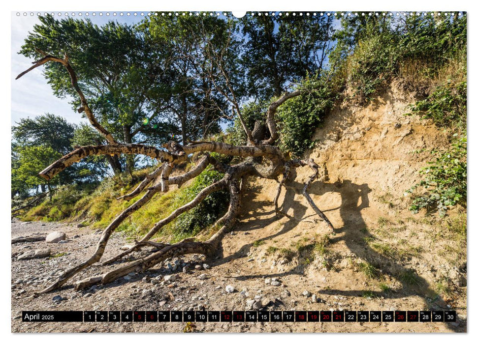 Insel Fehmarn - Impressionen eines Sommertages an der Ostsee (CALVENDO Wandkalender 2025)