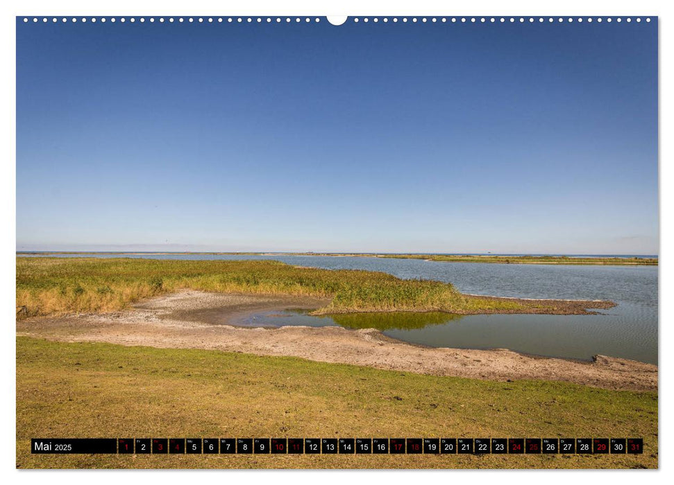 Insel Fehmarn - Impressionen eines Sommertages an der Ostsee (CALVENDO Wandkalender 2025)