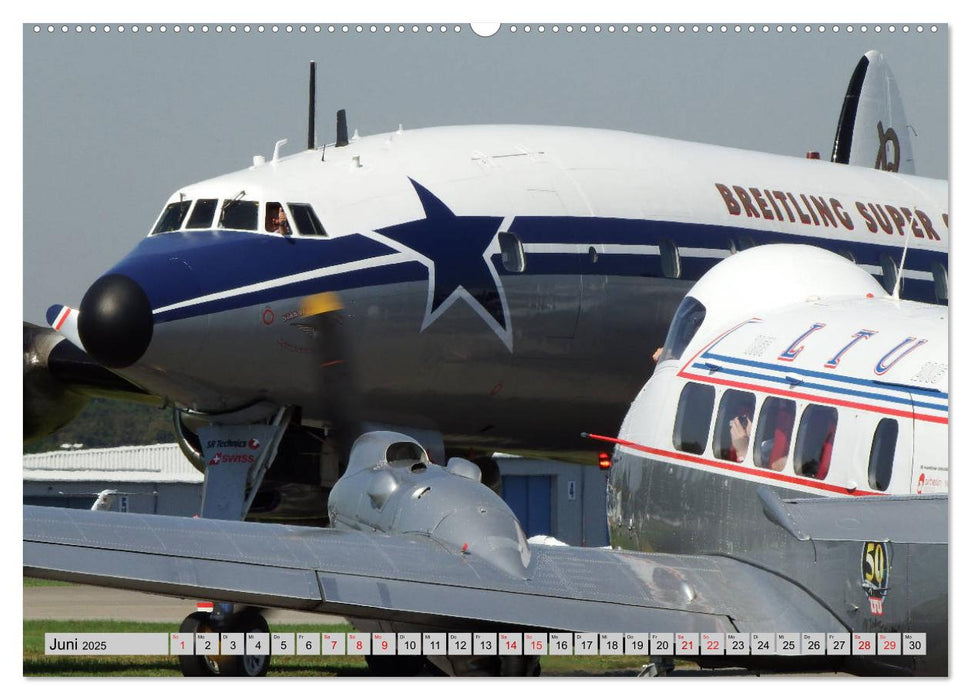 Flugtage Speyer-Weinheim-Mannheim (CALVENDO Wandkalender 2025)