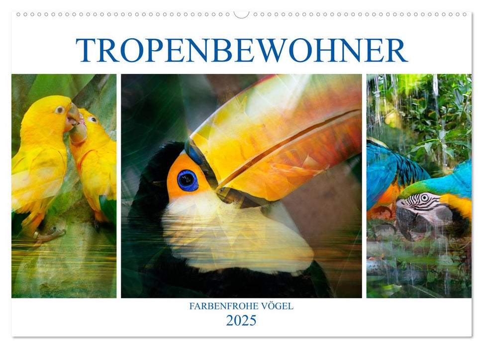 Tropenbewohner - farbenfrohe Vögel (CALVENDO Wandkalender 2025)