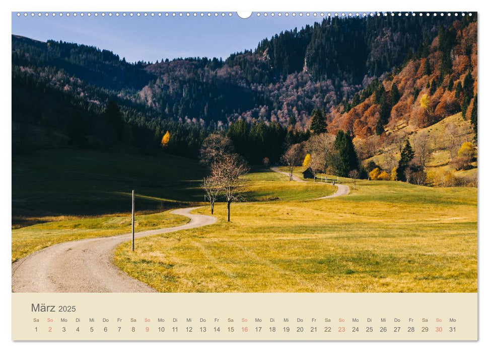 Fels und Stamm - Der Hochschwarzwald in Bildern (CALVENDO Wandkalender 2025)