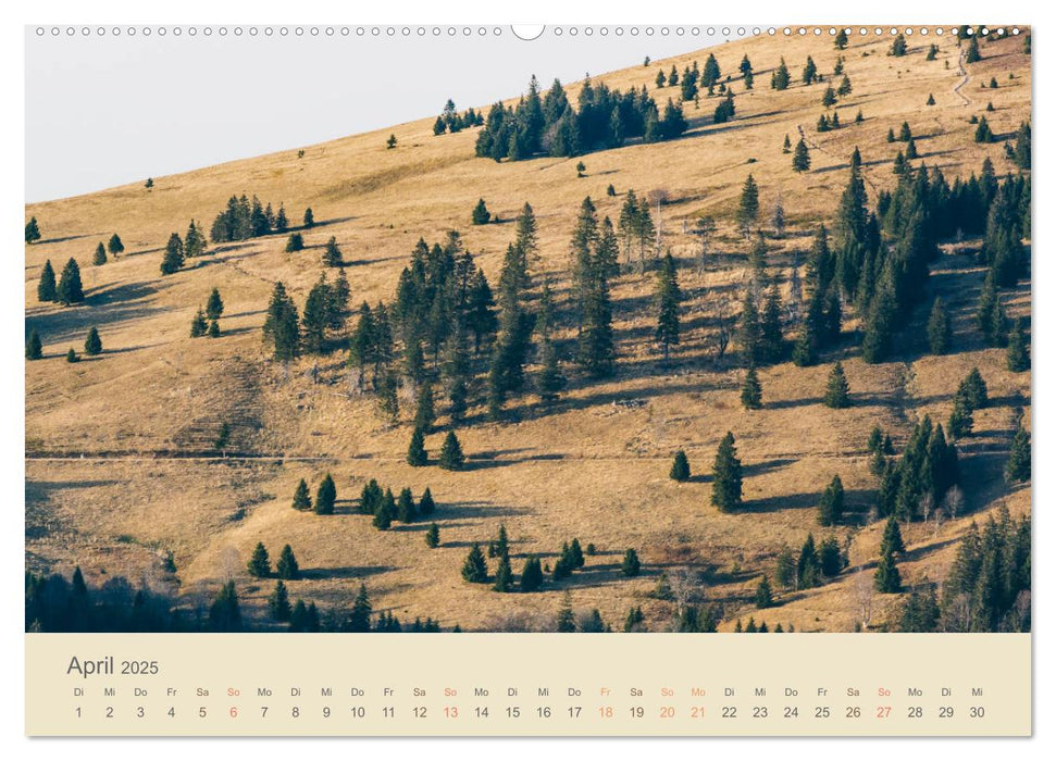 Fels und Stamm - Der Hochschwarzwald in Bildern (CALVENDO Wandkalender 2025)