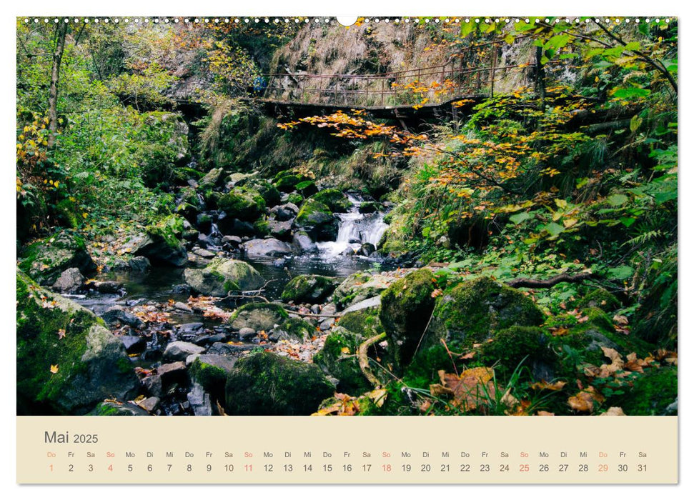 Fels und Stamm - Der Hochschwarzwald in Bildern (CALVENDO Wandkalender 2025)