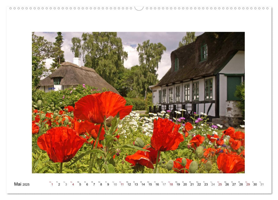 Dänemark - Flensborg Fjord und Inselwelt (CALVENDO Wandkalender 2025)