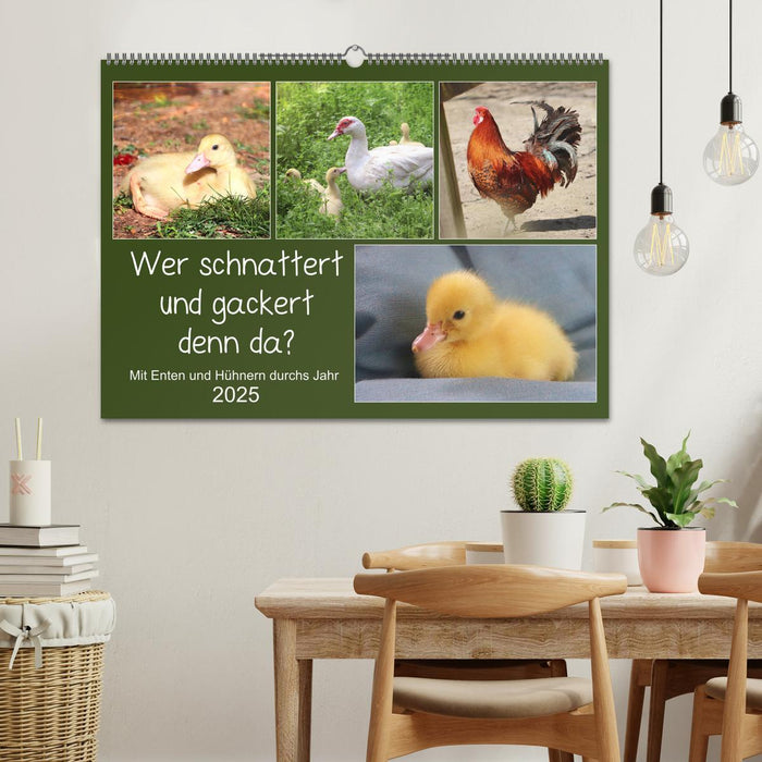 Wer gackert und schnattert denn da? Mit Enten und Hühnern durchs Jahr (CALVENDO Wandkalender 2025)