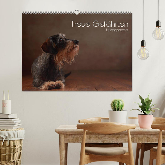 Treue Gefährten - Hundeportraits (CALVENDO Wandkalender 2025)