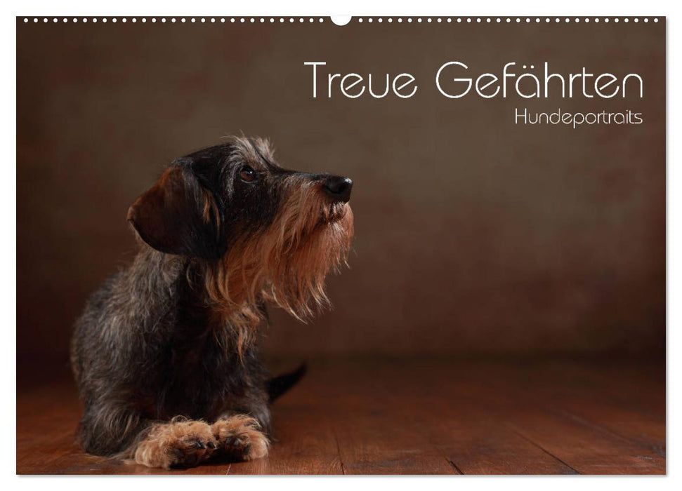 Treue Gefährten - Hundeportraits (CALVENDO Wandkalender 2025)