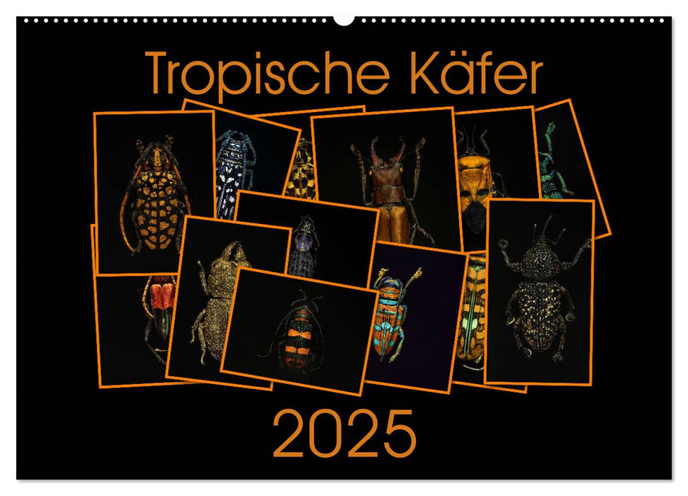 Tropische Käfer (CALVENDO Wandkalender 2025)