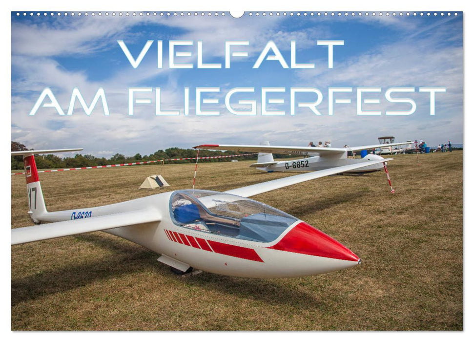 Vielfalt am Fliegerfest (CALVENDO Wandkalender 2025)