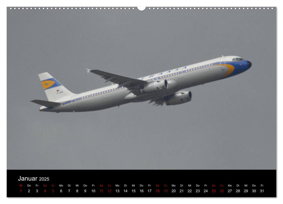 Im alten Glanz: Flugzeuge in Retro Livery (CALVENDO Wandkalender 2025)