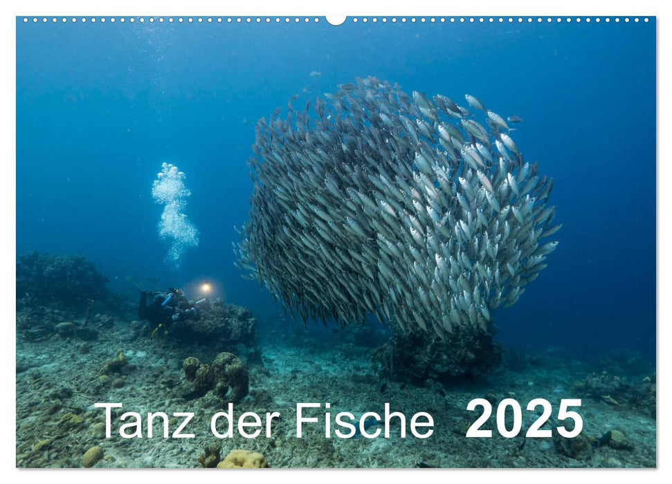 Tanz der Fische (CALVENDO Wandkalender 2025)