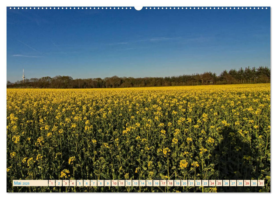 Cuxhaven, Landschaften zwischen Küste und Heide (CALVENDO Wandkalender 2025)