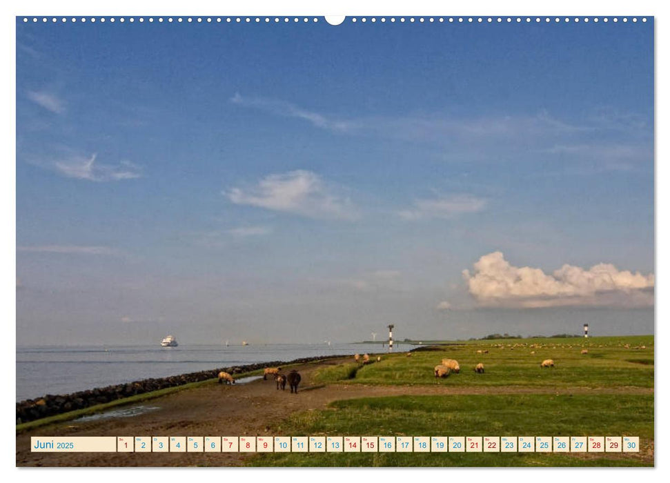 Cuxhaven, Landschaften zwischen Küste und Heide (CALVENDO Wandkalender 2025)