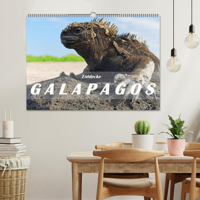 Entdecke Galapagos (CALVENDO Wandkalender 2025)