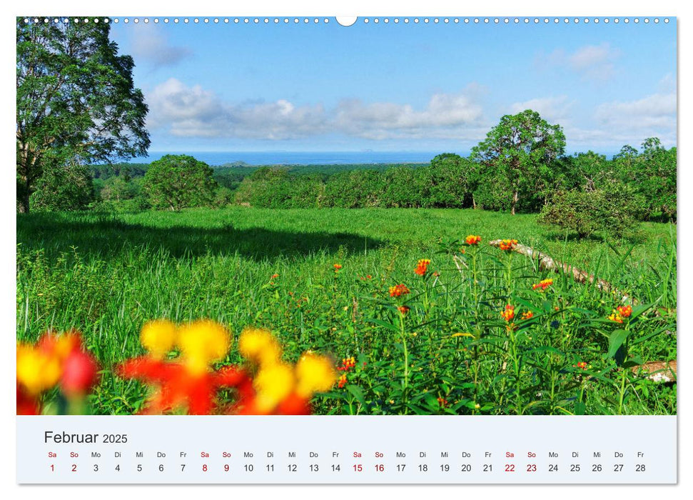 Entdecke Galapagos (CALVENDO Wandkalender 2025)