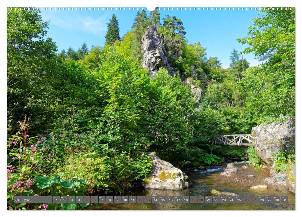 Liebenswertes Kulmbacher Land (CALVENDO Premium Wandkalender 2025)