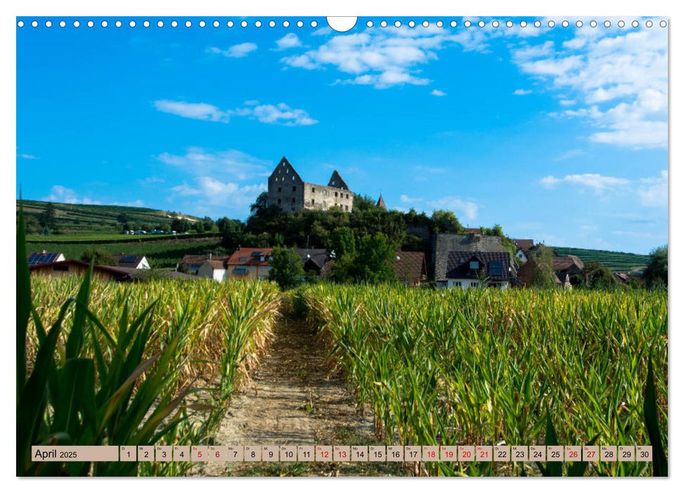 Kaiserstuhlblicke (CALVENDO Wandkalender 2025)