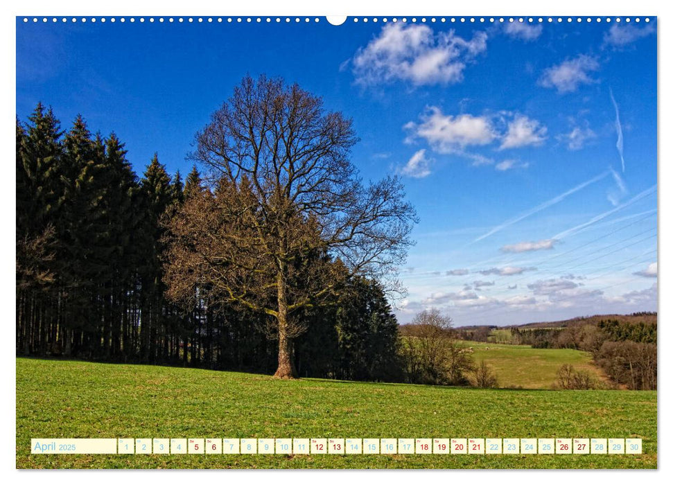 Landschaften rund um Marienheide (CALVENDO Premium Wandkalender 2025)