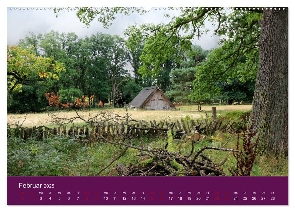 Die Heide blüht (CALVENDO Premium Wandkalender 2025)