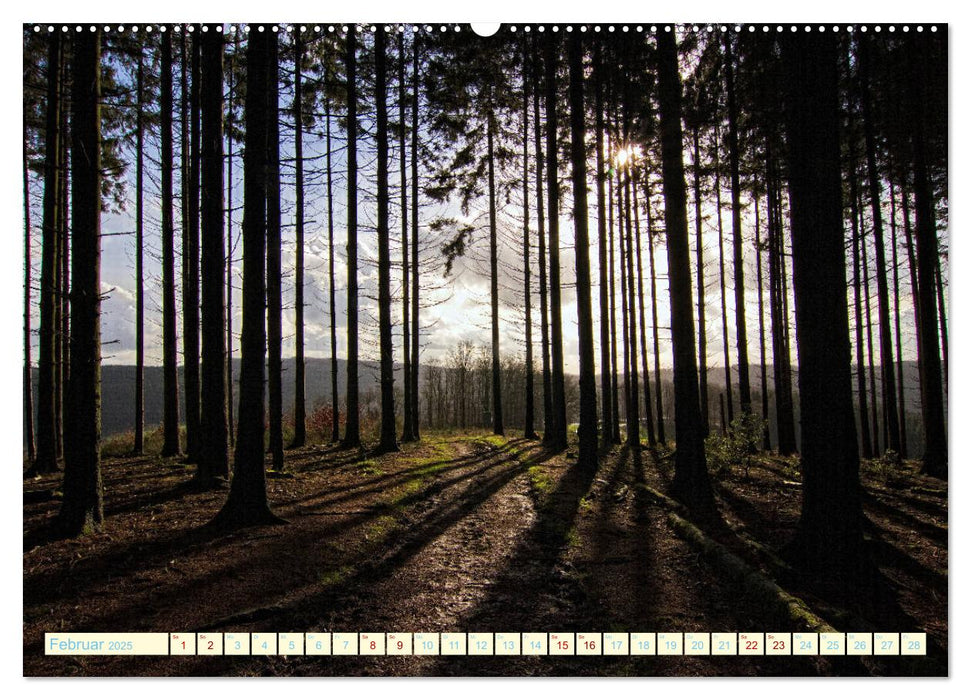 Landschaften rund um Marienheide (CALVENDO Wandkalender 2025)