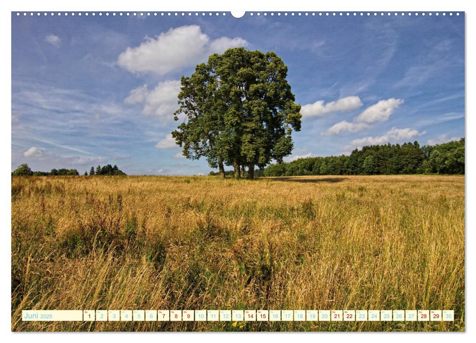 Landschaften rund um Marienheide (CALVENDO Wandkalender 2025)