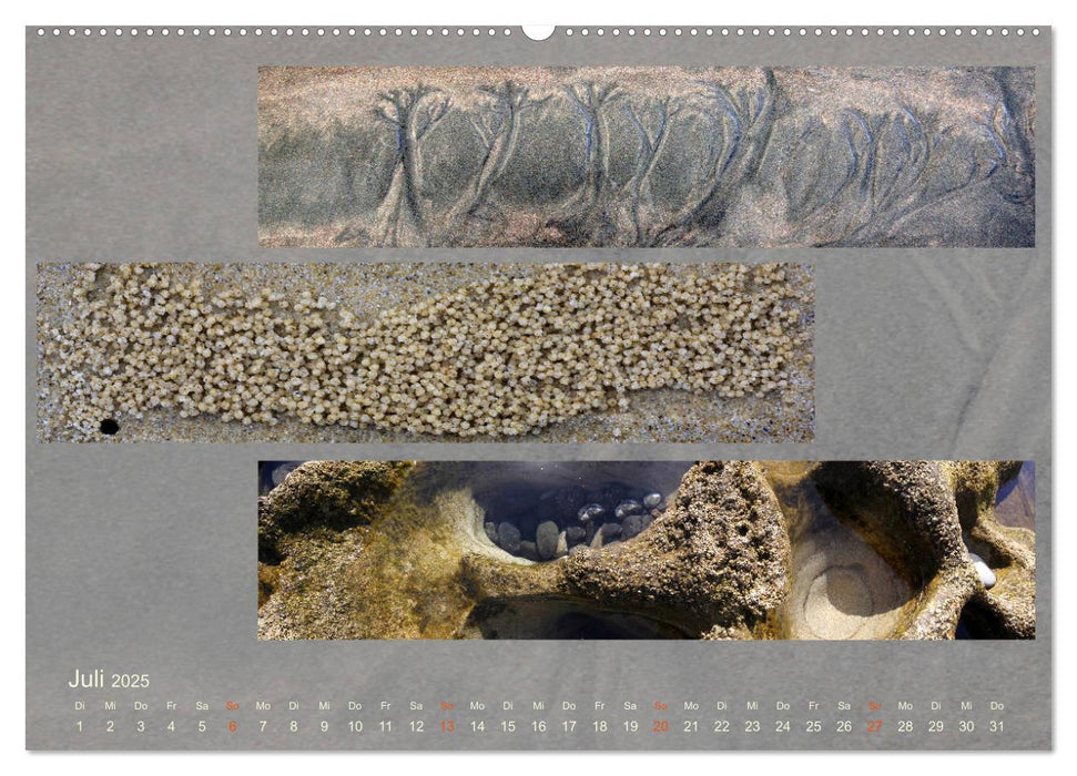 Küstenträume im Panoramablick (CALVENDO Premium Wandkalender 2025)