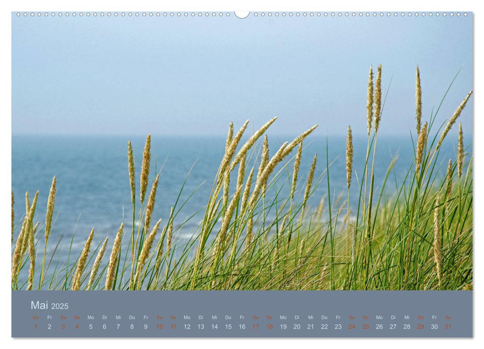 Tag am Meer (CALVENDO Premium Wandkalender 2025)