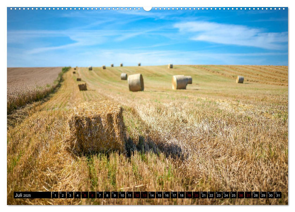 Bayerische Landschaften - Ein Streifzug durch das Dachauer Land (CALVENDO Premium Wandkalender 2025)