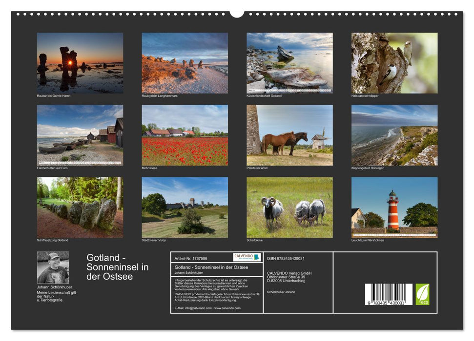 Gotland - Sonneninsel in der Ostsee (CALVENDO Premium Wandkalender 2025)