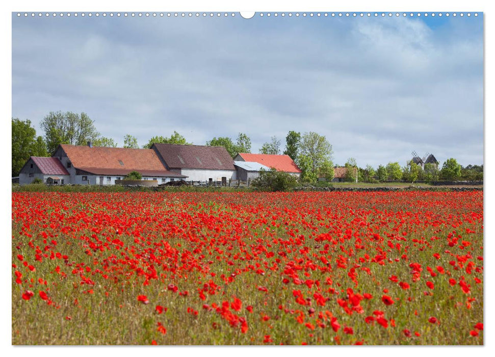 Gotland - Sonneninsel in der Ostsee (CALVENDO Premium Wandkalender 2025)