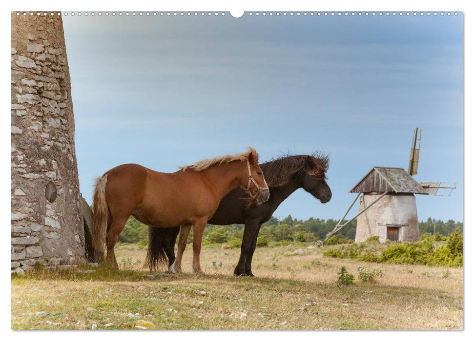 Gotland - Sonneninsel in der Ostsee (CALVENDO Premium Wandkalender 2025)