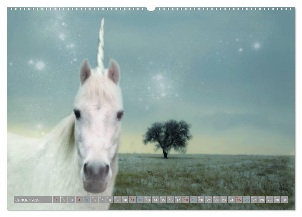 Fabeltier Einhorn (CALVENDO Premium Wandkalender 2025)