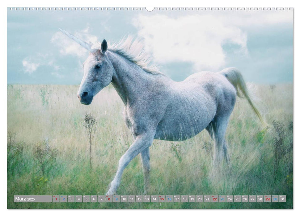 Fabeltier Einhorn (CALVENDO Premium Wandkalender 2025)