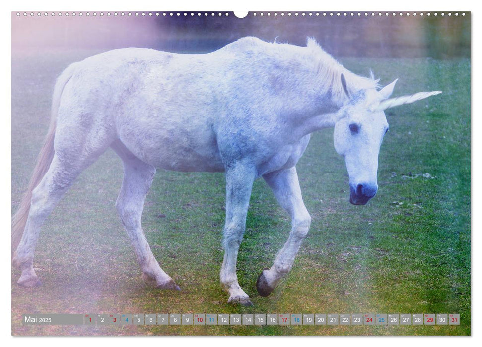 Fabeltier Einhorn (CALVENDO Premium Wandkalender 2025)