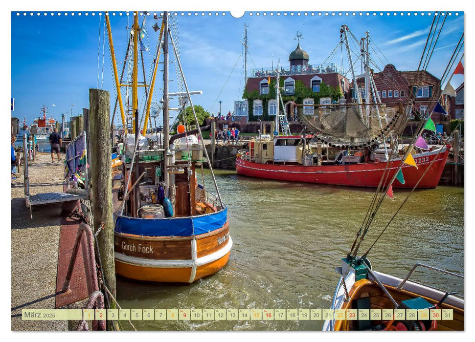 Reise an die Nordsee - Weltnaturerbe Wattenmeer, immer an der Küste lang (CALVENDO Premium Wandkalender 2025)