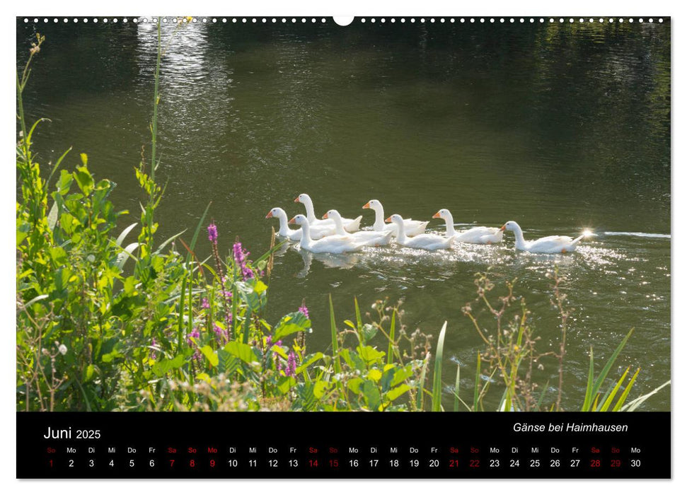 Die Amper - Ansichten eines bayerischen Flusses (CALVENDO Premium Wandkalender 2025)