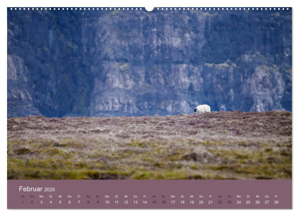 Unter Schafen - Wegbegleiter auf Reisen (CALVENDO Premium Wandkalender 2025)