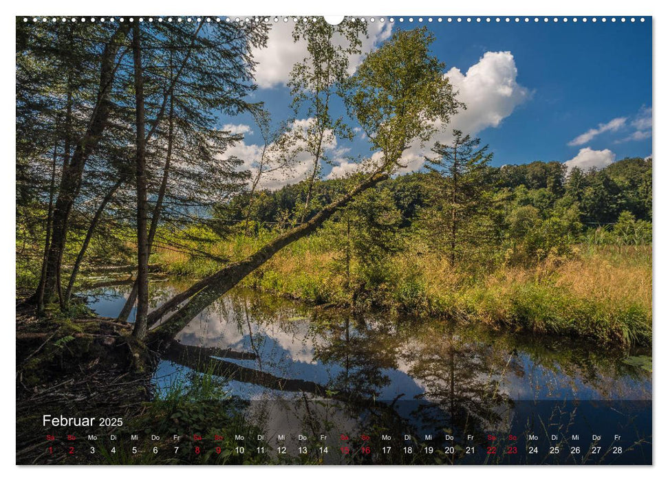 Naturerlebnis Aschau (CALVENDO Wandkalender 2025)