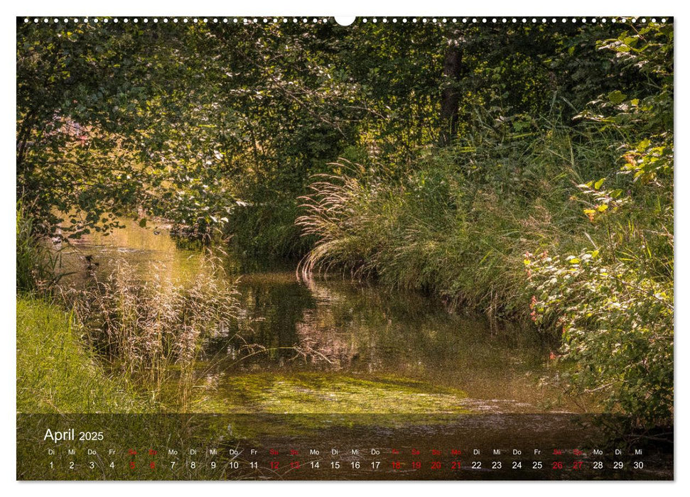 Naturerlebnis Aschau (CALVENDO Wandkalender 2025)