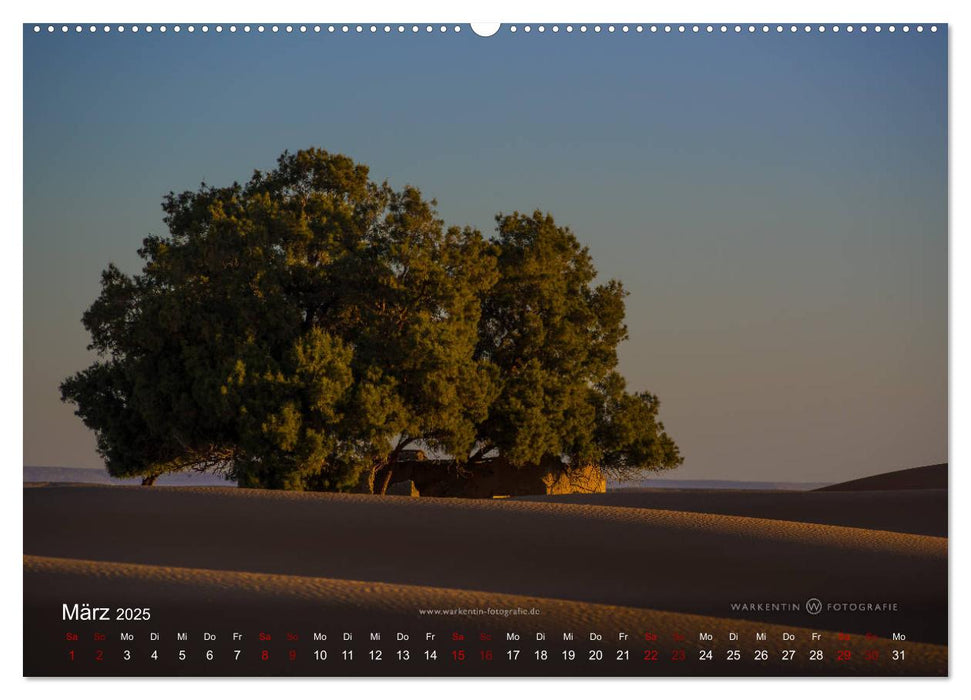 Sahara - Land der unendlichen Weite (CALVENDO Wandkalender 2025)