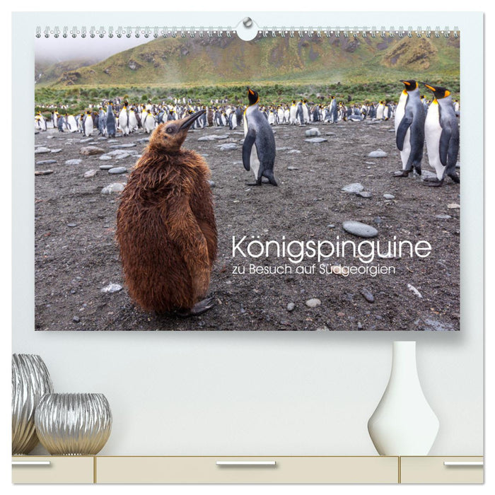 Königspinguine - zu Besuch auf Südgeorgien (CALVENDO Premium Wandkalender 2025)