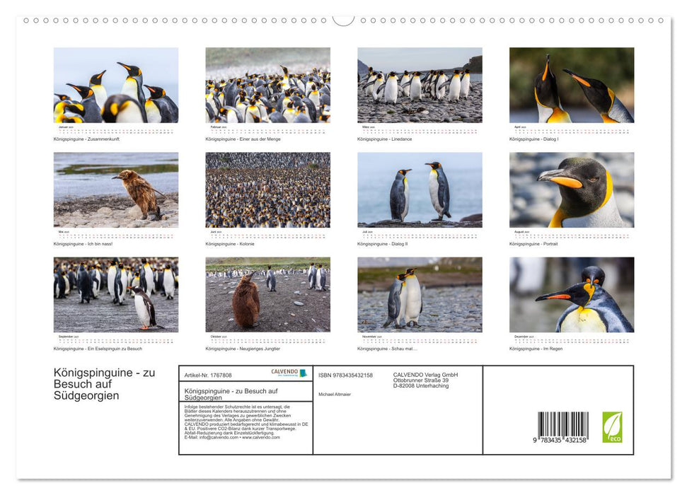 Königspinguine - zu Besuch auf Südgeorgien (CALVENDO Premium Wandkalender 2025)