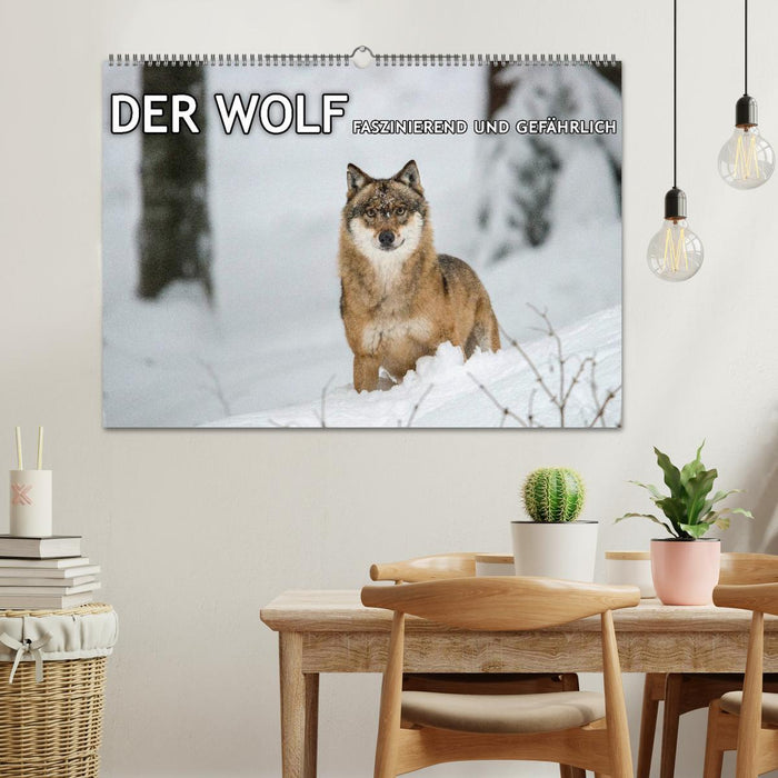 DER WOLF - faszinierend und gefährlich (CALVENDO Wandkalender 2025)