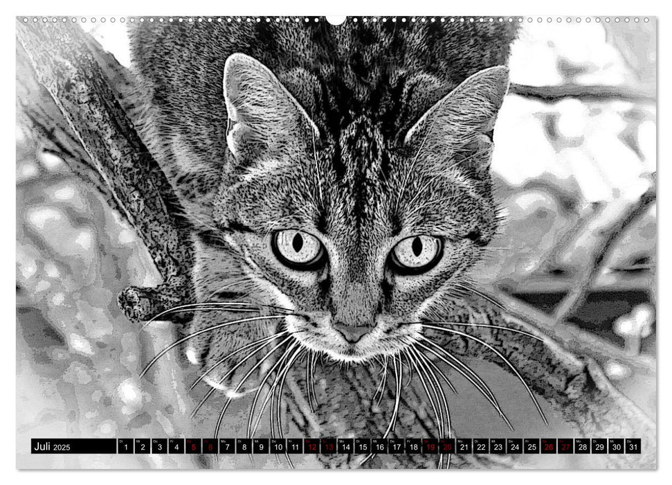 Katzen Pop Art in s/w - Kleine Tiger unter uns (CALVENDO Premium Wandkalender 2025)