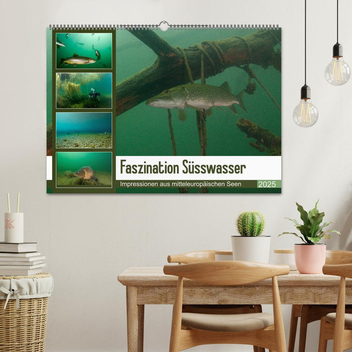 Faszination Süsswasser (CALVENDO Wandkalender 2025)