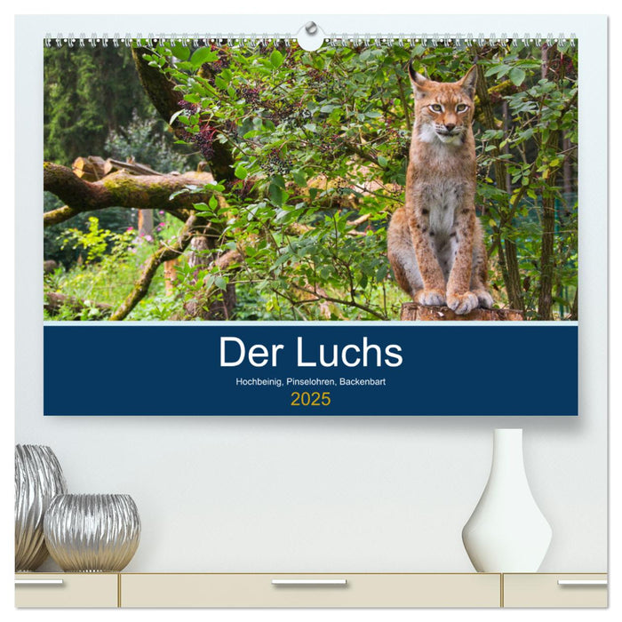 Der Luchs - Hochbeinig, Pinselohren, Backenbart (CALVENDO Premium Wandkalender 2025)